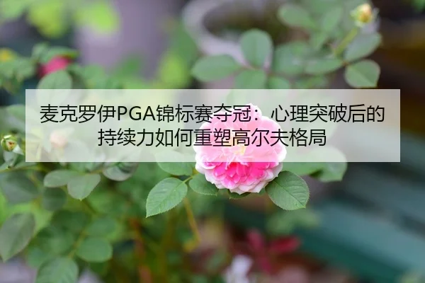 麦克罗伊PGA锦标赛夺冠：心理突破后的持续力如何重塑高尔夫格局