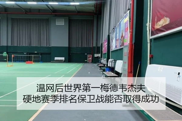 wen-wang-hou-shi-jie-di-yi-mei-de-wei-jie-fu-ying-di-sai-ji-pai-ming-bao-wei-zhan-neng-fou-qu-de-cheng-gong-3-352.jpg