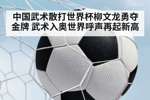 中国武术散打世界杯柳文龙勇夺金牌 武术入奥世界呼声再起新高